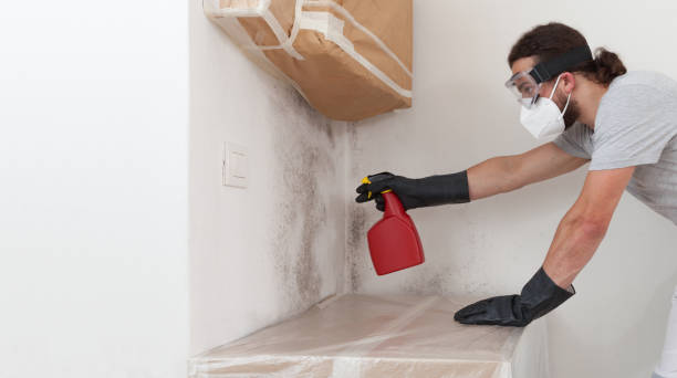 Professional Bathroom Mold Removal technician working in Longboat Key, FL